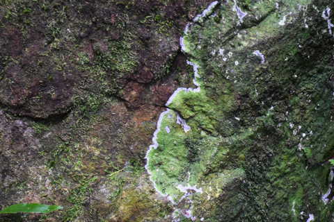 البرية: جولة مشي لمسافات طويلة ومشاهدة النجوم في خاو ياي لمدة يومينجولة المجموعات الصغيرة