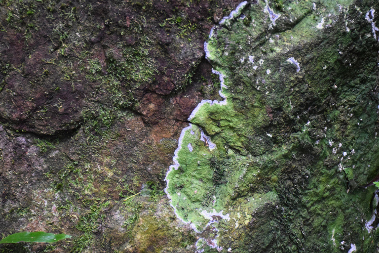 البرية: جولة مشي لمسافات طويلة ومشاهدة النجوم في خاو ياي لمدة يومينجولة المجموعات الصغيرة