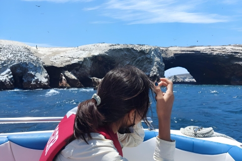 Vanuit Paracas: Ballestas eiland kijken naar zeedieren