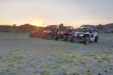 Z Muscat 1 godzina: Przygoda ATV z własnym napędem w Wadi Al RakWadi Al Rak Adventure: Odkryj naturę Omanu na quadzie