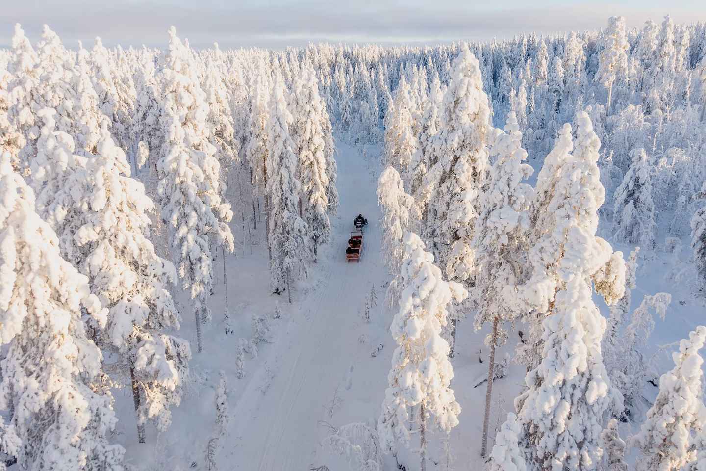 Ranua: Lupland Activity Park Entry with Reindeer Experience