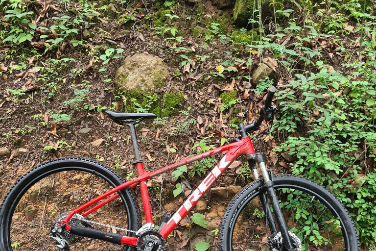 Oaxaca: Bike Tour with Visit to Monkey Tree & Bread Maker