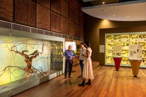 Adelaide: Hosted Tour & Tasting - Image 2