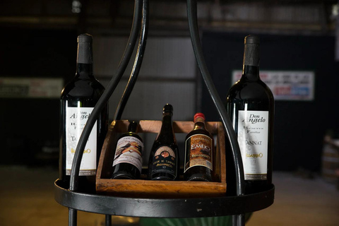 Montevideo: Century-Old Urban Winery Tour & 6-Wine Tasting
