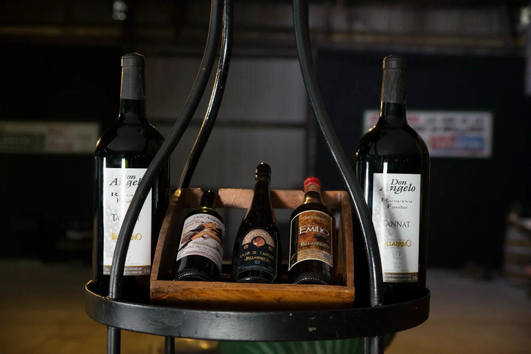 Montevideo: Century-Old Urban Winery Tour & 6-Wine Tasting