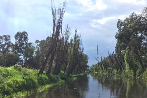 Xochimilcos underverk: En kulinarisk och kulturell resa