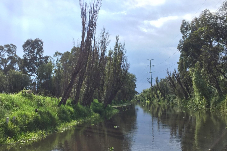 Die Wunder von Xochimilco: Eine kulinarische und kulturelle Reise