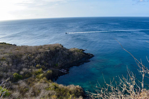 Venture into the nature and history of San Cristóbal