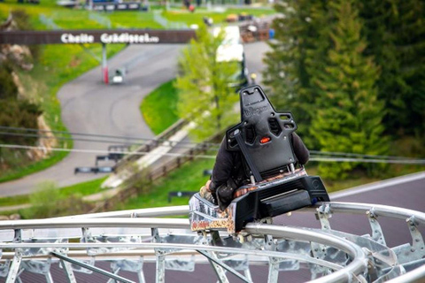 From Brasov: Bear Sanctuary, Bran Castle & Alpine Ride Bear Sanctuary & Bran Castle