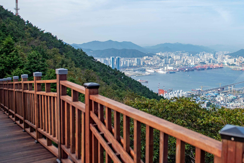 Busan Bongnaesan mountain 395m Morning Hiking Tour