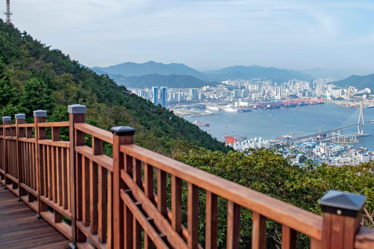 Busan Bongnaesan mountain 395m Morning Hiking Tour