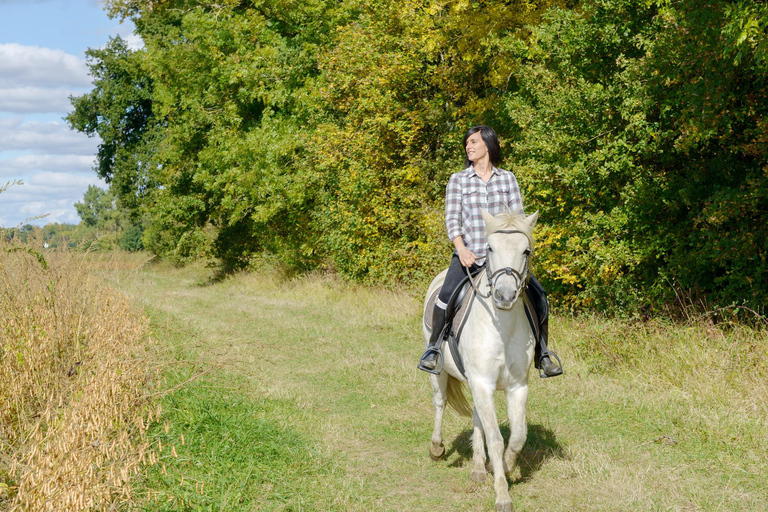 French Riviera: Private Scenic Col de Vence Horseback Ride French Riviera: Panoramic Col de Vence Horseback Ride