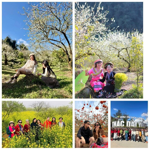 Hanoi: Moc Chau 2-Day Tour with Glass Bridge & Tea Hill