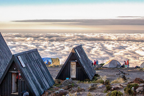 6 jours d&#039;ascension du Kilimandjaro par la route de Marangu