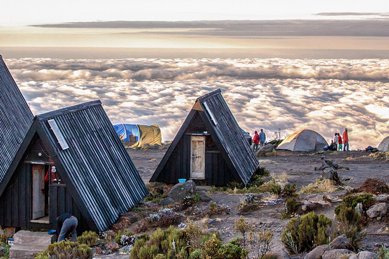 6 jours d&#039;ascension du Kilimandjaro par la route de Marangu