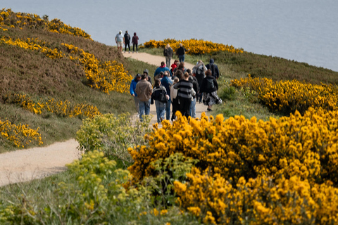 From Dublin: Howth Cliffs Guided Bus Tour