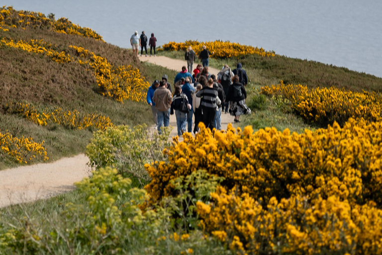 From Dublin: Howth Cliffs Guided Bus Tour