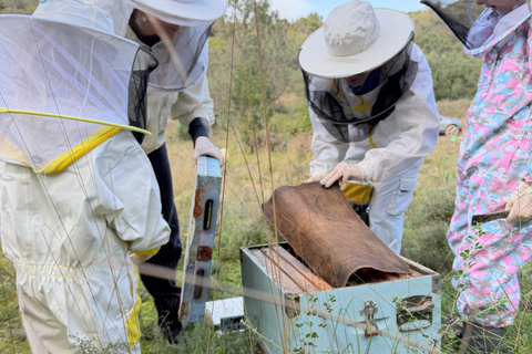 Kalamata: Beekeeping Experience with Honey Tasting