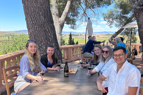 De Valência: Degustação de vinhos e visita à Cueva de Turche