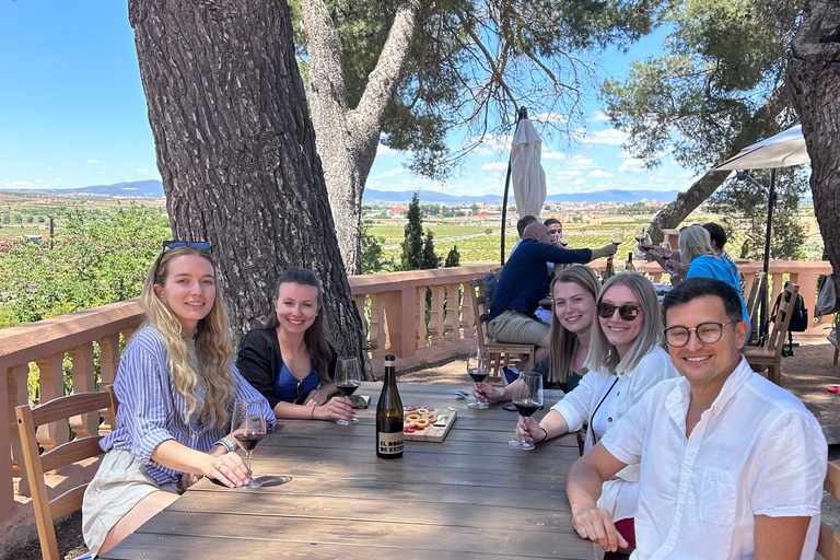 Da Valencia: Degustazione di vini e visita alla Cueva de Turche