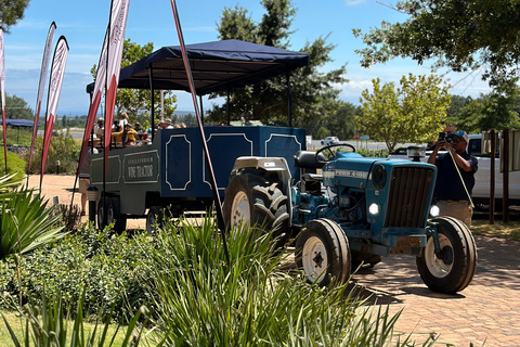 Cape Town: Stellenbosch Hop-On Hop-Off Tractor Wine Tour