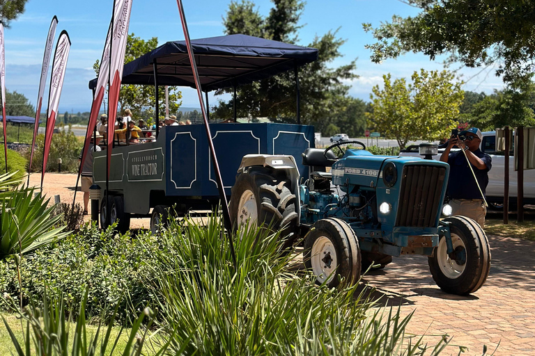 Le Cap : visite à arrêts multiples du vin de Stellenbosch en tracteur