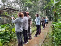 From Ha Noi, Cuc Phuong National Park Full Day Small Group - Housity
