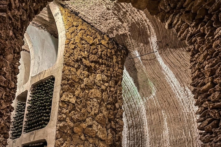 Moldova Wine Tour: Cricova & Family Winery