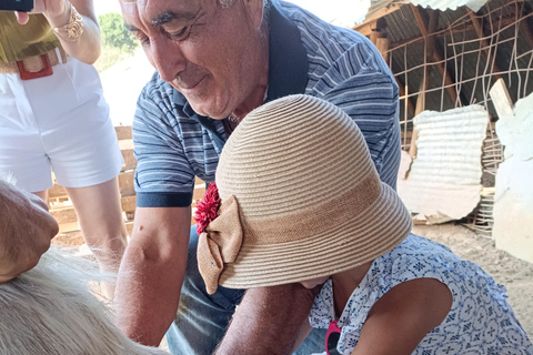 Thessaloniki: Goat Farm, Cheese Tasting & Village Life