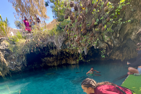 Zanzibar Kizimkazi:Salaam Cave swim sea turtles and transferTransfer from Stone Town : Afternoon