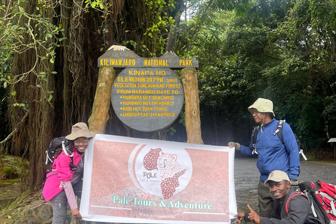 Tanzania Group Safaris Through Tanzania’s Top National Parks Arusha : 3 Days Serengeti and ngorongoro ngroup Safari