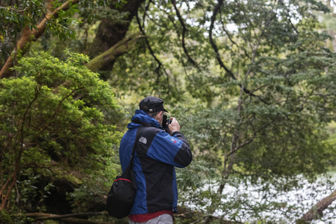 Puerto Varas: Shared Sightseeing Tour - Petrohue, Todos Los Santos Lake, and Frutillar Puerto Varas: Shared Sightseeing Tour - Petrohué, Todos Los Santos Lake, and Frutillar