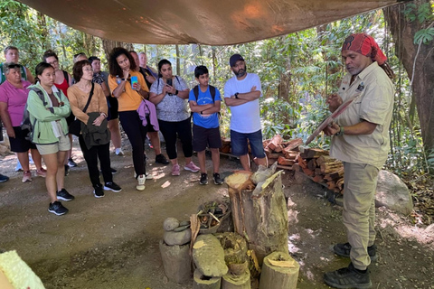 Mossman: Viaggio nella foresta pluviale di Daintree con crociera con i coccodrilli