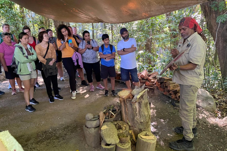 Mossman: Viaggio nella foresta pluviale di Daintree con crociera con i coccodrilli