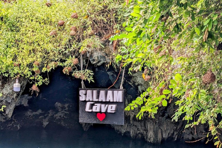 Zanzibar : excursion « Salaam Cave Swimming with Turtles » (baignade avec les tortues dans la grotte de Salaam)Visiteurs de la visite privée de Paje, Kizimkazi, Michanvi, Jambia