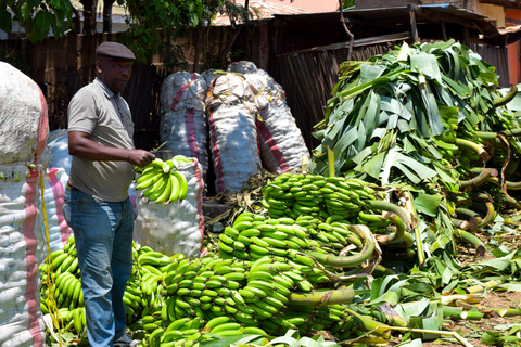 Mto wa Mbu: Waterfall, Maasai Boma, Village, & Balaa Hill Mto wa Mbu Tour & Canoe Ride on Lake Manyara