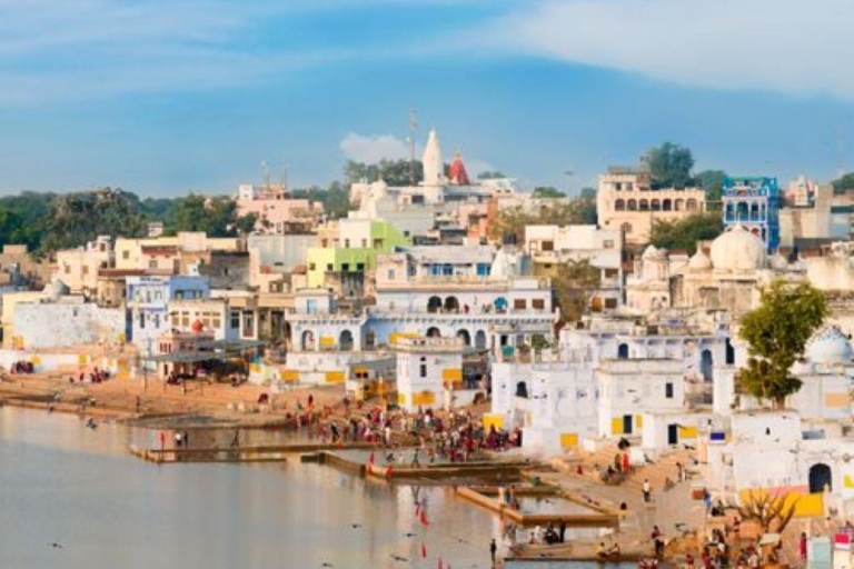 Fullday pushkar tour from jaipur with guid+camel/jeep safari Pushkar tour + guide + jeep/camel safari + food + camp stay.