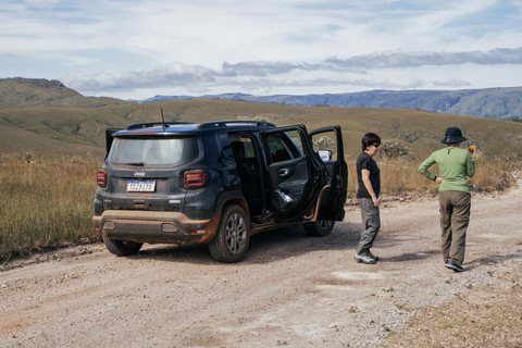 From São Paulo: 5-Day Serra da Canastra Wildlife Safari