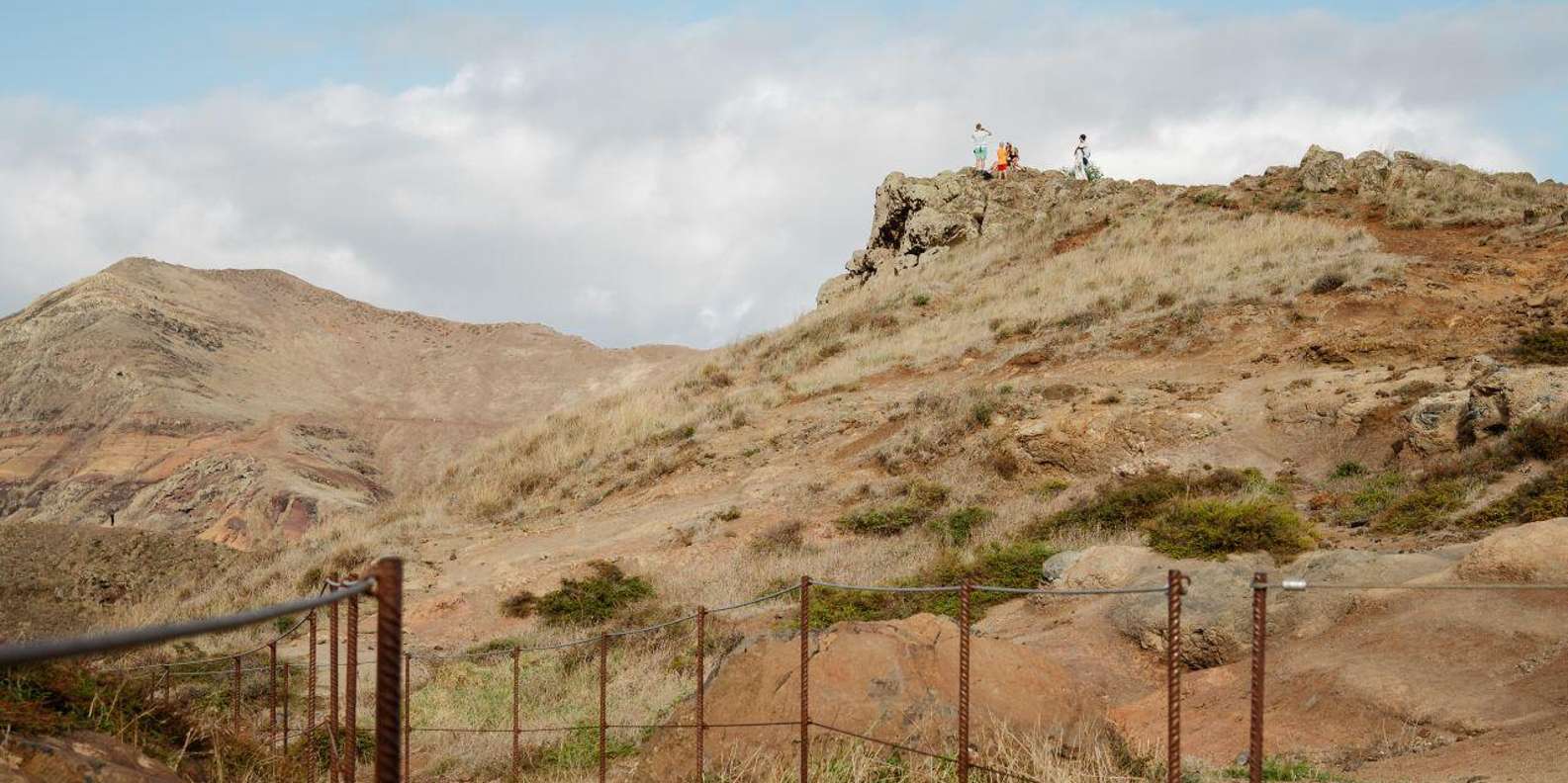section