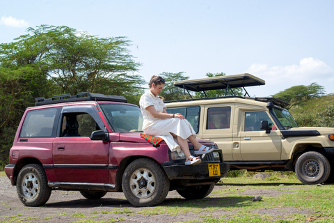 Tarangire Day Safari: Private 4x4 Suzuki Vitara Experience