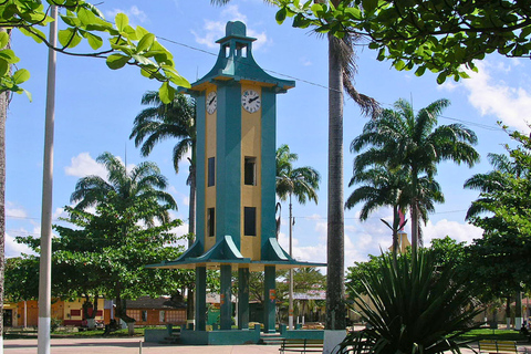 Puerto Maldonado: 3-Day Tambopata Reserve Photo Tour
