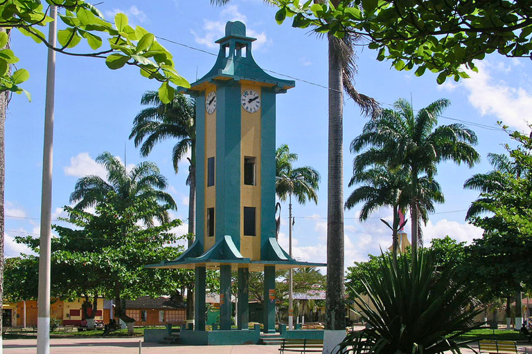Puerto Maldonado: 3-Day Tambopata Reserve Photo Tour
