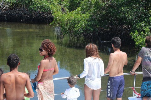 Private: Cayo Arena Luxury Catamaran & Snorkeling Adventure