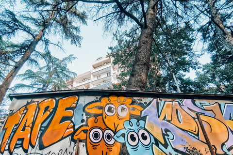 Tiflis: más de 100 graffitis y murales, visita guiada por el arte callejeroVisita privada