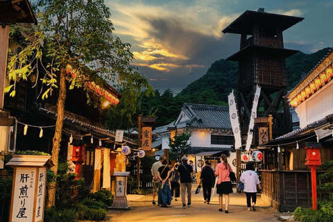 Tóquio: Viagem de 1 dia privada a Nikko com templos e natureza