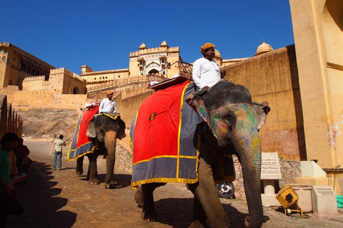 Cidade Rosa do Rajastão, Jaipur Tour Exclusivo (02 Dias)