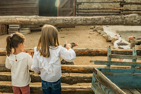 From Madrid: Puy du Fou Spain Entry Ticket & Transfer