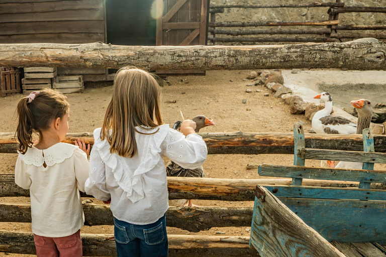 From Madrid: Puy du Fou Spain Entry Ticket & Transfer