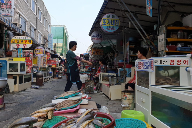 Privétour naar Busan, het Marseille van Korea