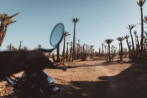 Marrakech Hidden Gems: Vintage 1h30 Sidecar Guided Tour